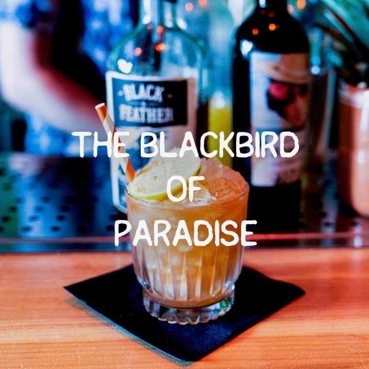 Black Bird of Paradise