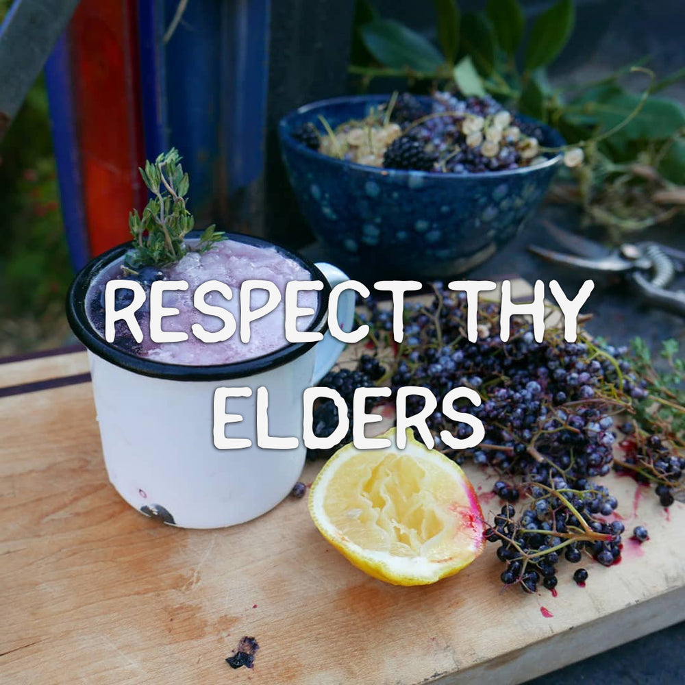 Resect Thy Elders