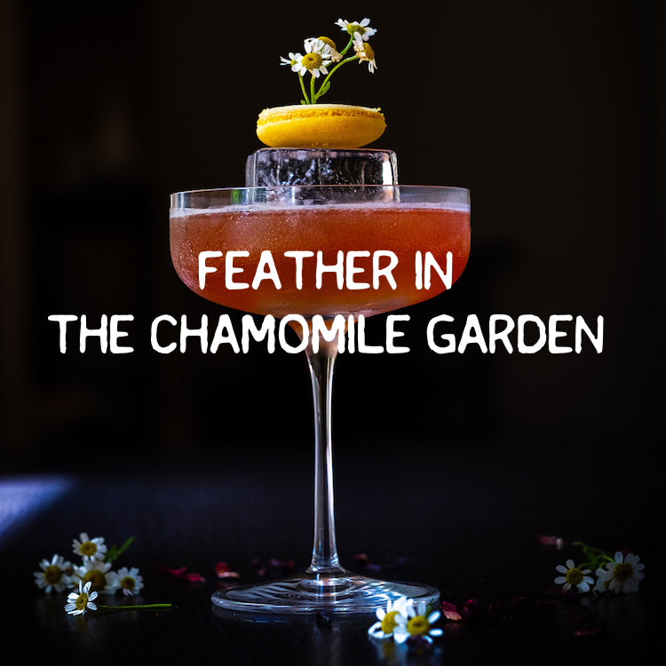 Feather in the Chamomile Garden